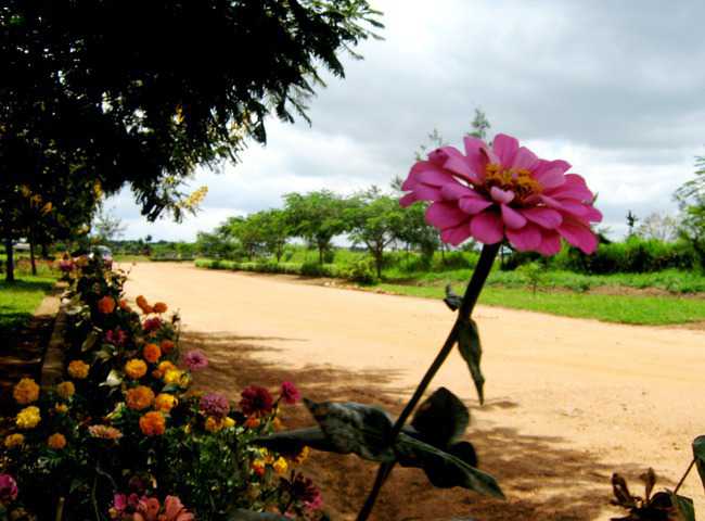 Mutumbi Cemetery and Remembrance Park