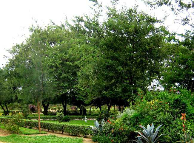 Mutumbi Cemetery and Remembrance Park