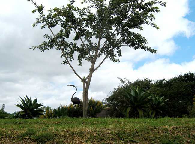 Mutumbi Cemetery and Remembrance Park