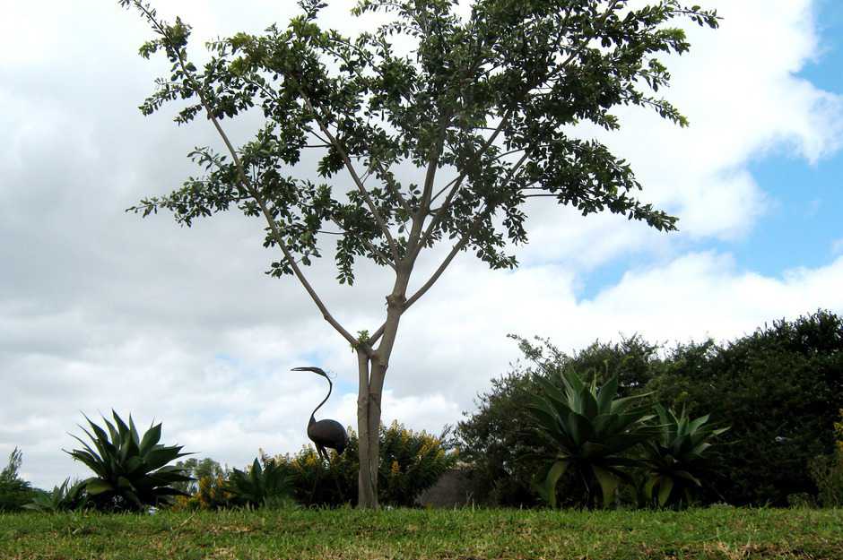 Mutumbi Cemetery and Remembrance Park