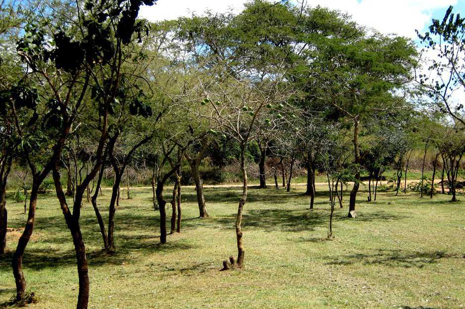 Mutumbi Cemetery and Remembrance Park